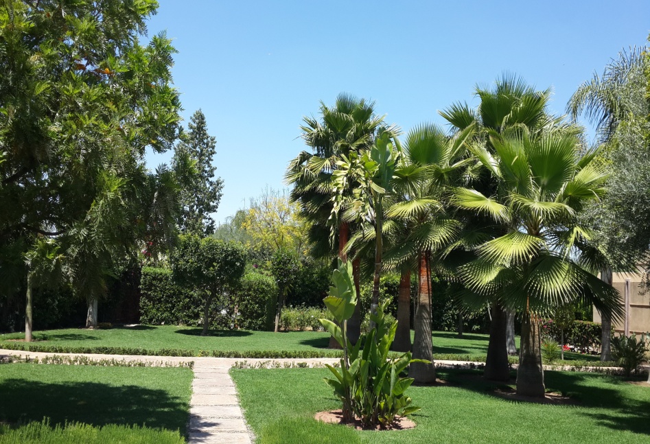 création de jardins, plantations, engazonnement 